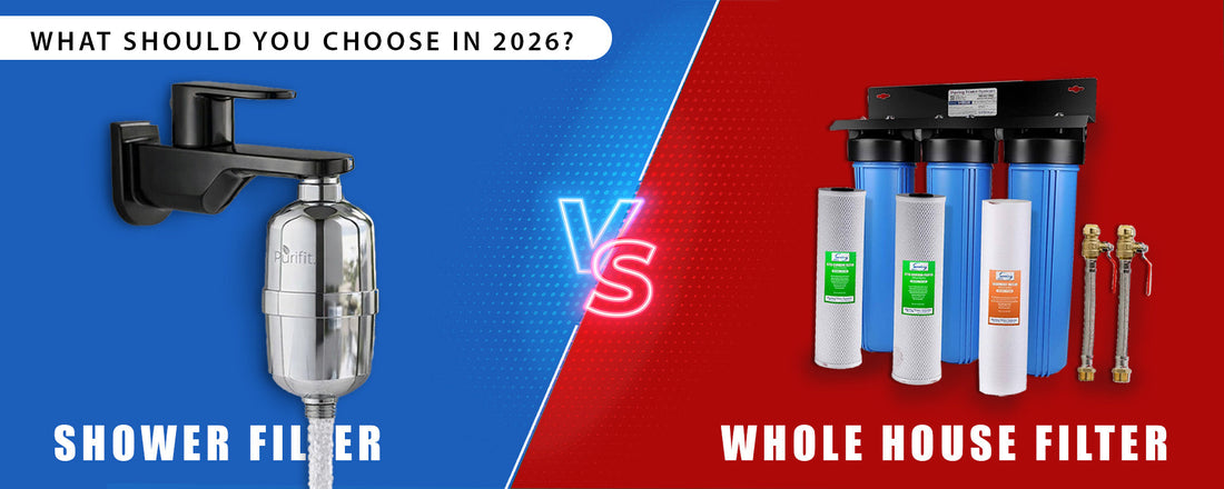 Shower Filter vs Whole House Filter: What Should You Choose in 2026?